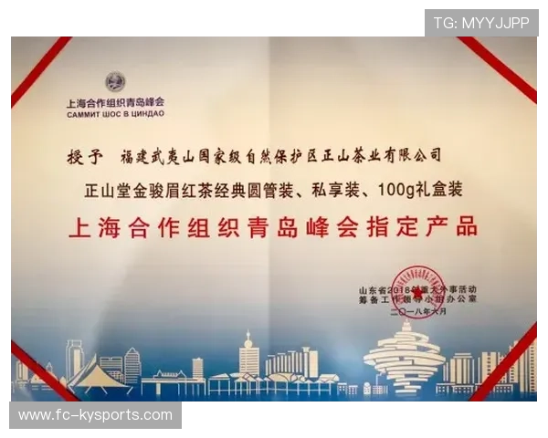 琑队如何建立多方位赞助合作模型